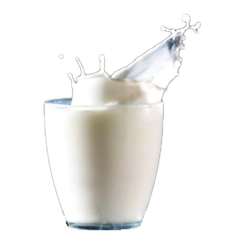 Solo Leche